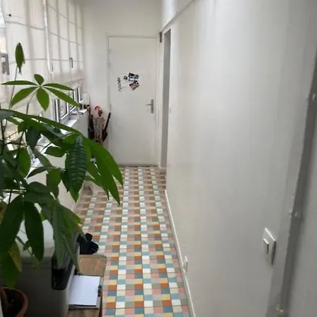 Large Flat In Montmartre With Terrace شقة باريس