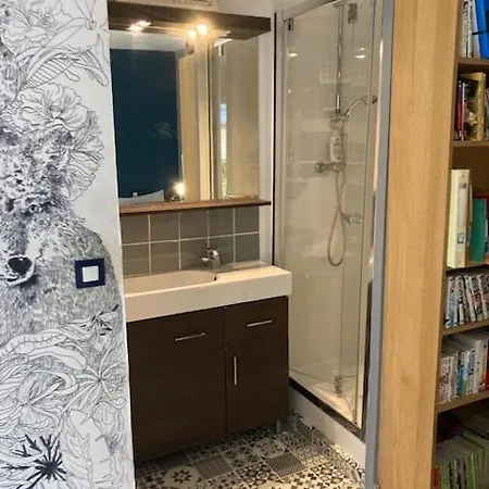 Large Flat In Montmartre With Terrace شقة