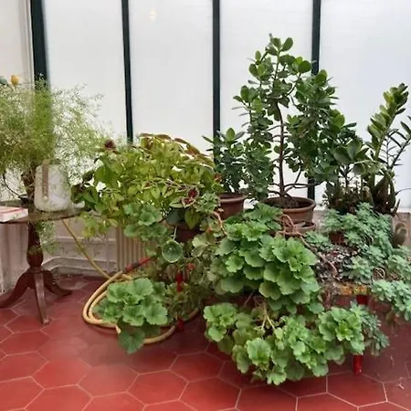 Large Flat In Montmartre With Terrace Apartment *