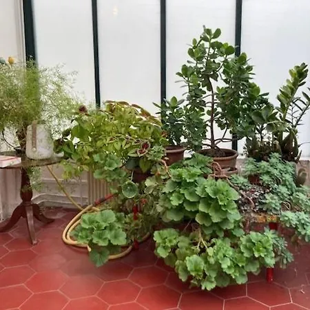 Large Flat In Montmartre With Terrace Lejlighed *